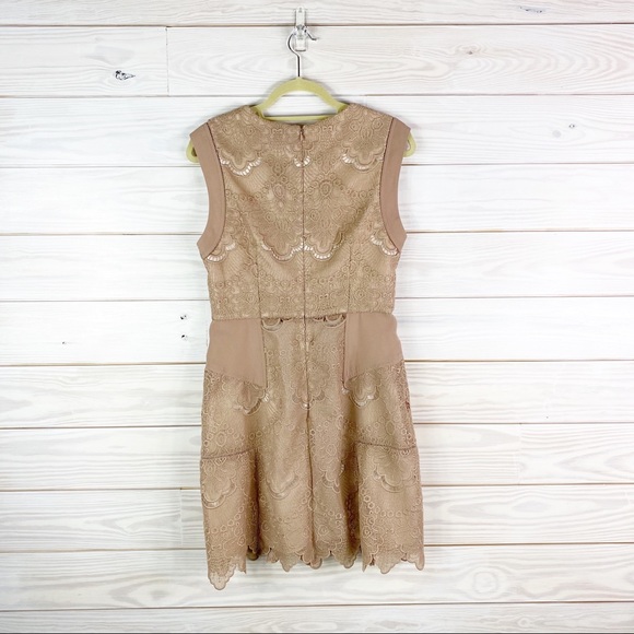 REISS Natural Gemina Lace Fit And Flare Dress New - Picture 5 of 11